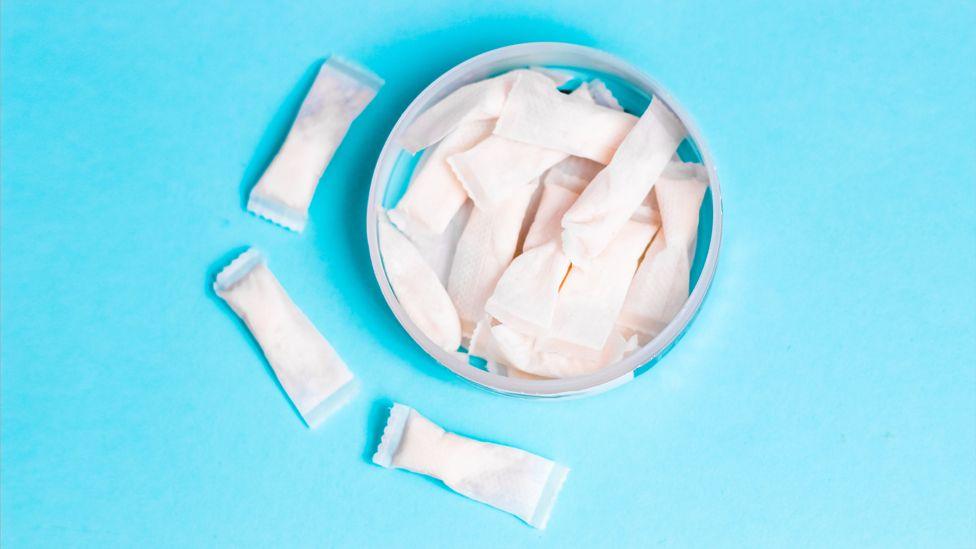 alp nicotine pouches