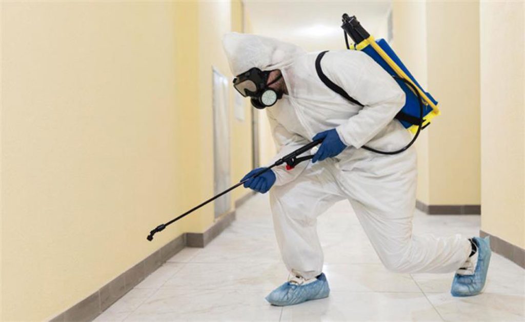 professional pest control services