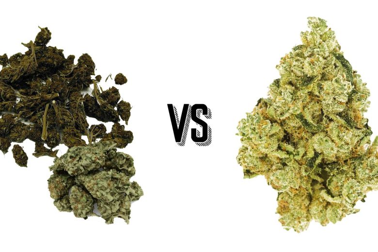 order weed online dispensary